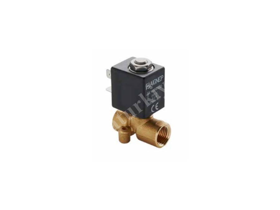 01F Akaryakıt Tipi Solenoid Valf 