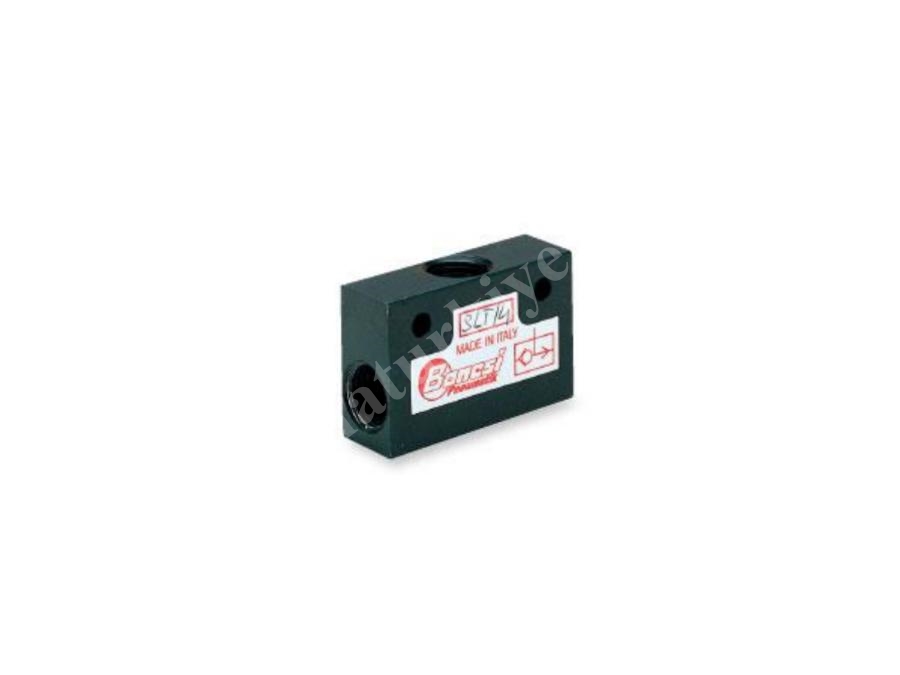 1/8 Yardımcı Çek Valf Bonesi
