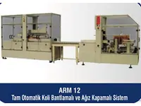ARM 12 Tam Otomatik Koli Hazırlama, Koli Alt Ve Üst Bantlama Sistemi  İlanı