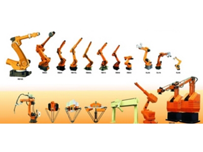 Arm 35/2 Ambalaj Robot Kol 