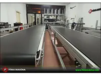 Conveyor Transportation Machine