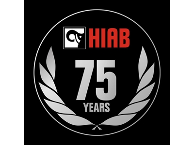 Hiab Uzaktan Kumandalı Mobil Vinç  - 9