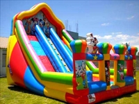 Giant Slide Inflatable Play Parks - 1