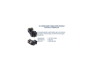 Hydraulische Kolbenpumpe mit schräger Achse - 0