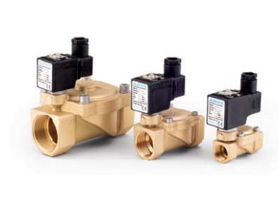 2/2 Yollu Esv 100-101 Serisi Pilot Kumandalı Solenoid Valf - 0