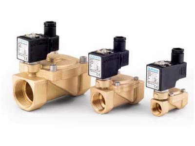 2/2 Yollu Esv 200-201 Serisi Pilot Kumandalı Buhar Solenoid Valf - 0