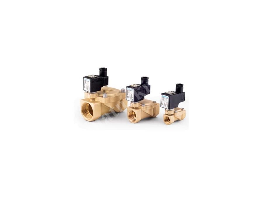 2/2 Yollu Esv 200-201 Serisi Pilot Kumandalı Buhar Solenoid Valf
