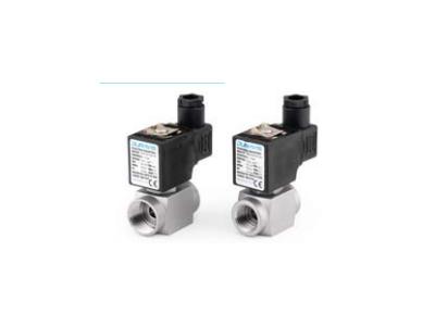 2/2 Yollu Esv 620-621 Paslanmaz Solenoid Valf - 0