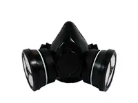 Tam Yüz Boyama Yüz Maskesi