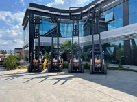 Trıplex 3 Ton Dizel Forklift