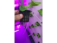 5.040 Root Retention Vertical Type Closed Sprouting System - 7