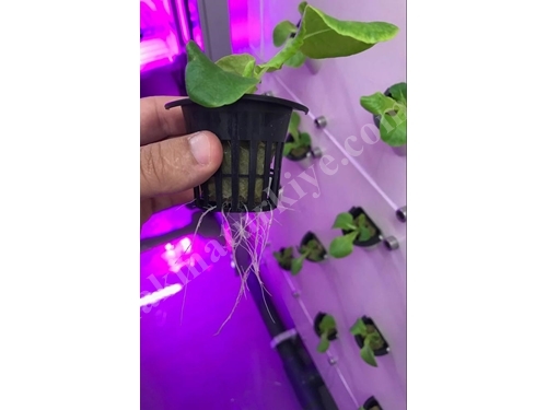 5.040 Root Retention Vertical Type Closed Sprouting System