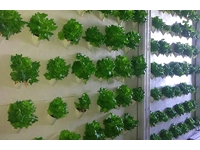 5.040 Root Retention Vertical Type Closed Sprouting System - 5