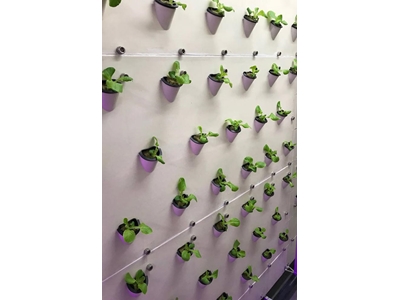5.040 Root Retention Vertical Type Closed Sprouting System - 1