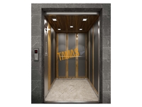Cabine d'ascenseur pour personnes avec revêtement laminé en acier inoxydable de forme carrée avec spot - 0