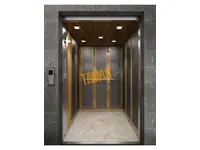 Cabine d'ascenseur pour personnes avec revêtement laminé en acier inoxydable de forme carrée avec spot