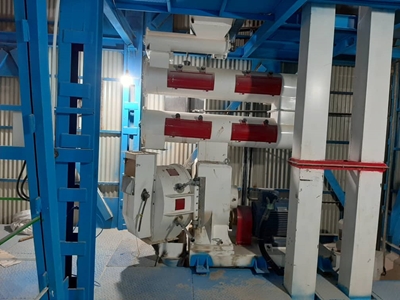 Pelleti AGP450E - 45 kW Pelletmaschine (für Futter und Sägemehl) - 0