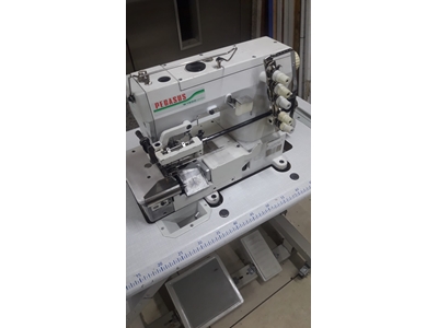 W1500 Rechtsgeschlitzte mechanische Nähmaschine - 1