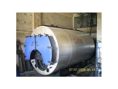250 kg/h Feststoff-Dampfkessel - 11