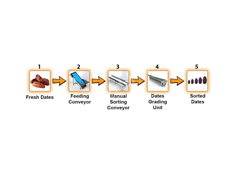 1-3 Ton / H Capacity Dates Grading And Sorting Line