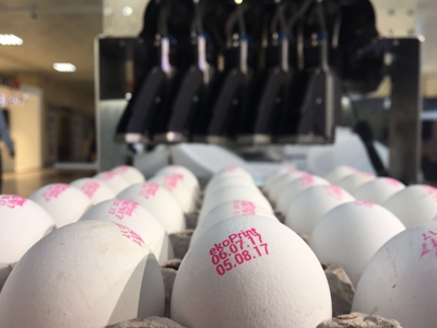 EP 205 (4 Lines) Inkjet Egg Coding Machine - 2