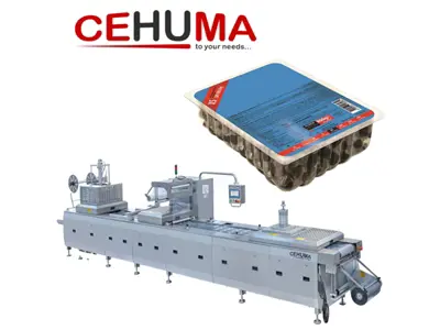 Thermoforming Vacuum / Gas Olive Packaging Machine