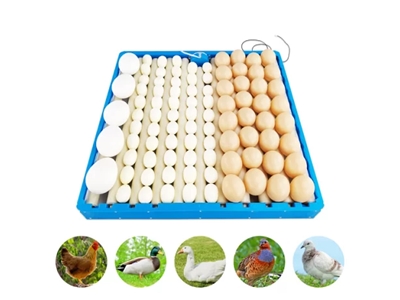 Otomatik Kuluçka Makinası Çevirme Mekanizması - 1