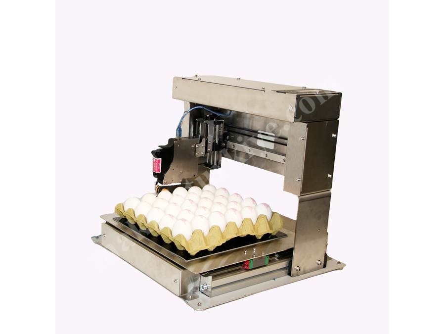 4 Lines Single Printhead Egg Coding Machine