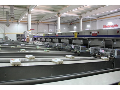 Box On Package Coding Machine - 2