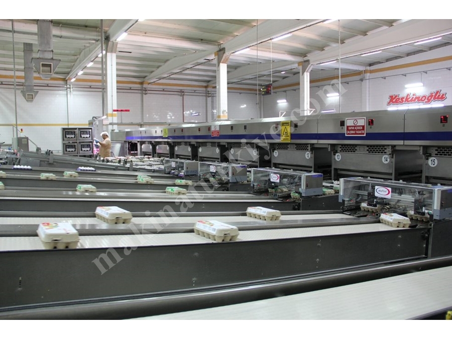 Box On Package Coding Machine