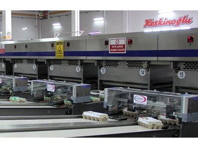 Box On Package Coding Machine