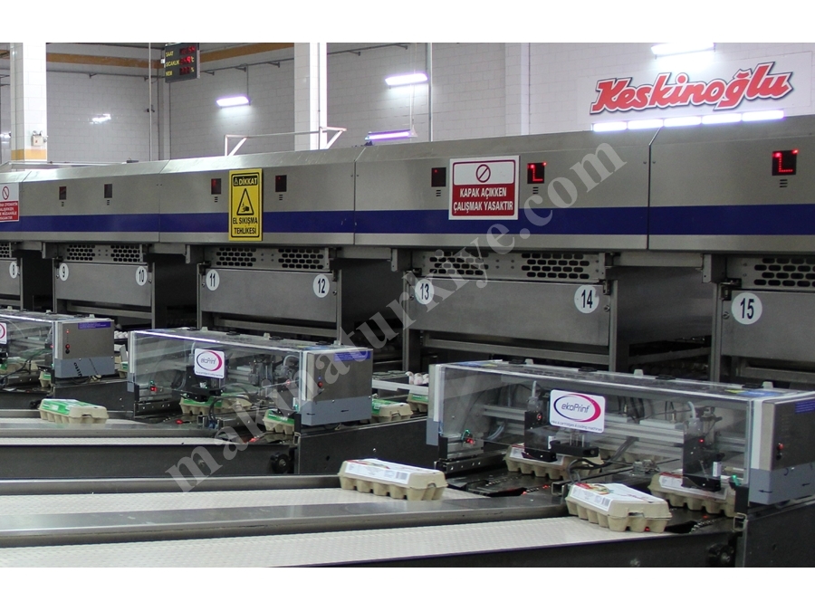 Box On Package Coding Machine