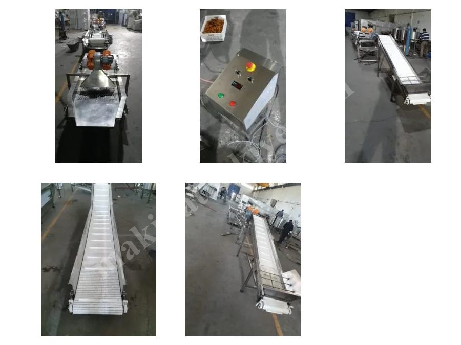 Machine de transformation de dattes fraîches