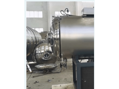 50 Kg Küçük Gıda Dondurarak Kurutma Makinası - 0