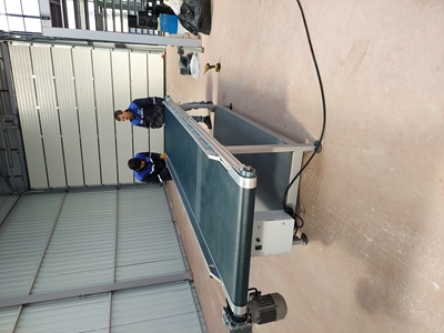 Dynamic PVC Belt Conveyor - 7