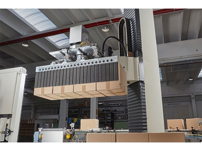60-720 Cycles/Hour Palletizing Machine - 10