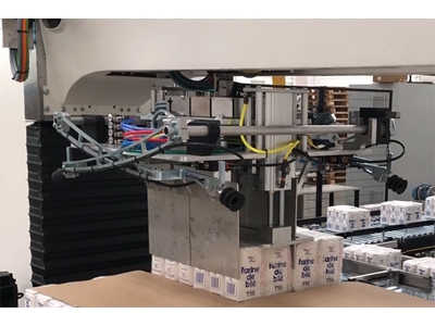 60-720 Cycles/Hour Palletizing Machine - 4