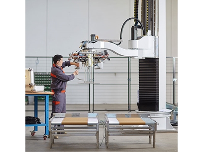 60-720 Cycles/Hour Palletizing Machine - 6