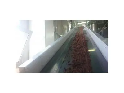 10-140 Kg Toz Çikolata Aktarma Makinası İlanı
