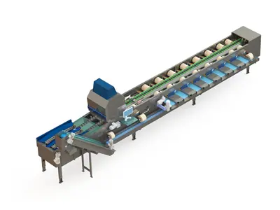 Fruit and Vegetable Sorting and Packaging Conveyor Belt According to Size and Color