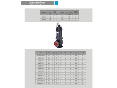 2 Hp Su Dalgıç Pompa - 1