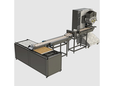 1200 Kg / Hour Creamy Biscuit Production - 1