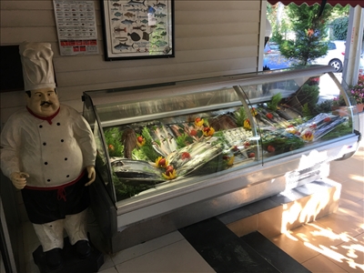 Fischvitrine - 1