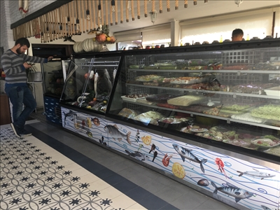 Fischvitrine - 4