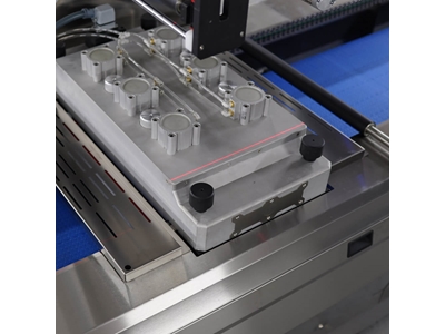 Fresh Meat Vacuum Thermoform Packaging - 1