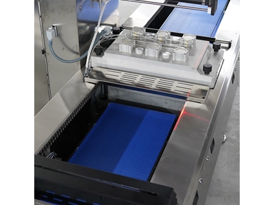 Fresh Meat Vacuum Thermoform Packaging - 2
