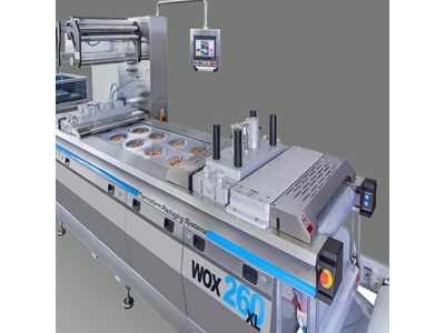 Pizza Packing Machine - 4