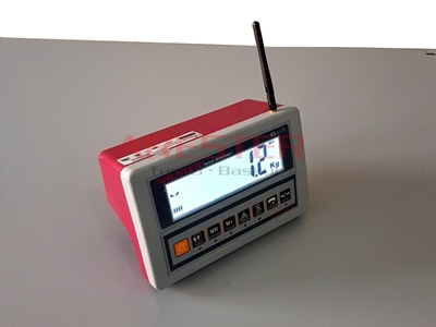 4L-P WRS-LCD 100X100 cm Kablosuz Platform Baskül - 2
