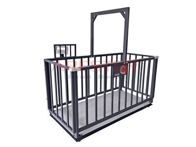 CHB-4L GK-LCD 100X200 cm (3000 Kg) Canlı Hayvan Baskülü - 1