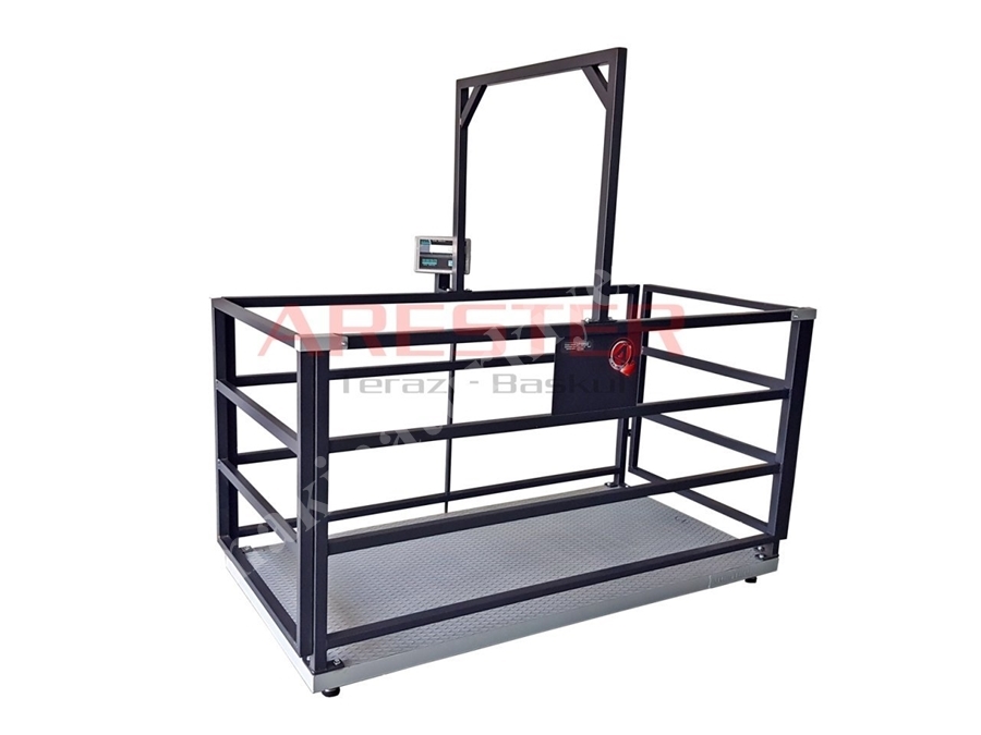 CHB GK-LCD 100X200 cm (1500 Kg) Büyük Baş Canlı Hayvan Baskülü